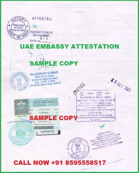 Official document handling sample