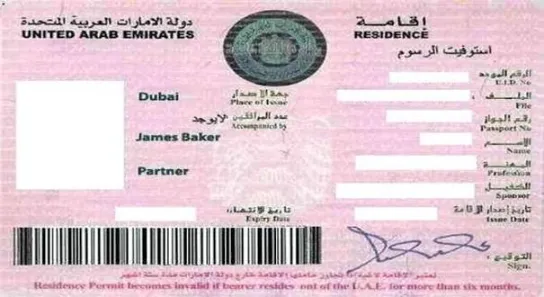 UAE investor and partner residence document example